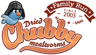 Chubby Mealworms Canada