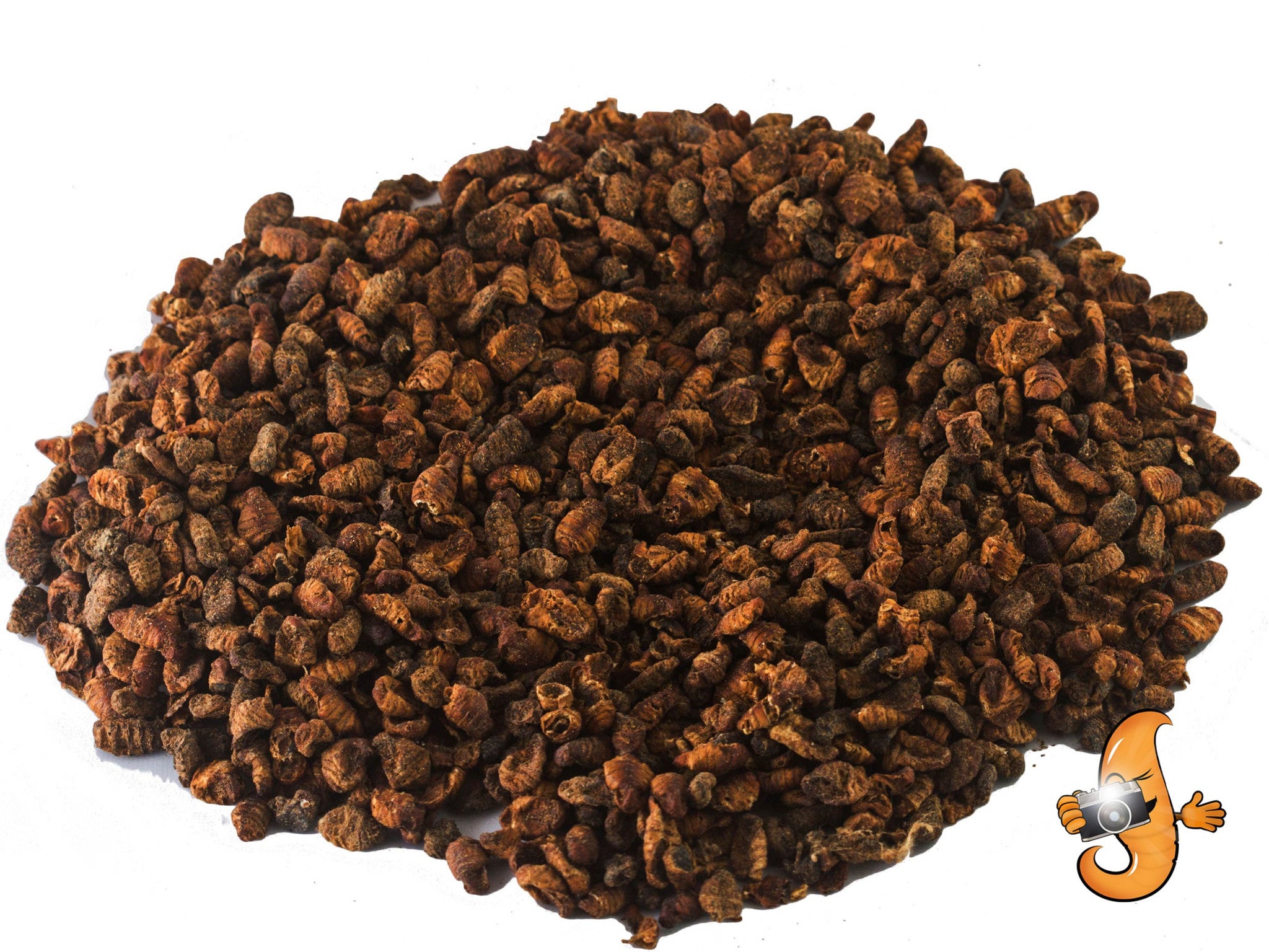 908g (2lb) Chubby Dried Silkworm Pupae