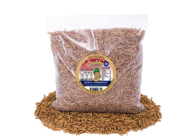 5Lb Canadian Grown Chubby Dried Black Soldier Fly Larvae