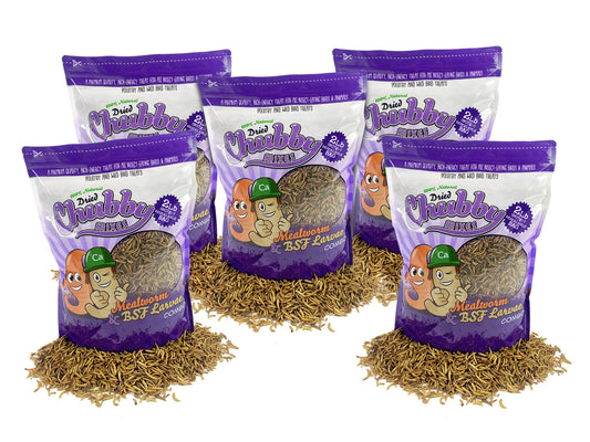10lb Chubby Dried Mixes (Mealworm & Black Soldier Fly Larvae)
