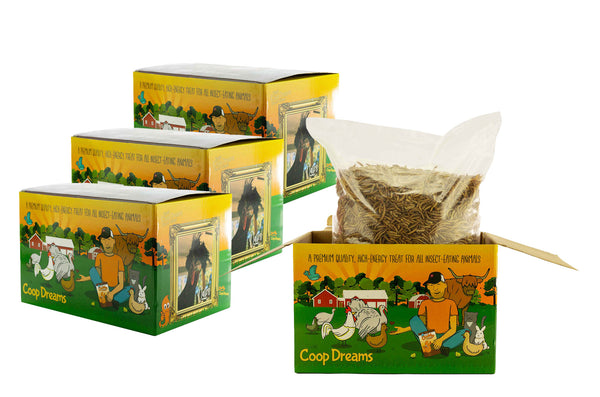 4x 3 lb (12 lb) de vers de farine séchés potelés - Boîtes en édition limitée Coop Dreams 