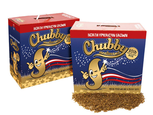 20Lbs Chubby Canadian Grown Dried Mealworms - Grown in Montreal