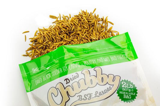 8LB Chubby Dried Black Soldier Fly Larvae