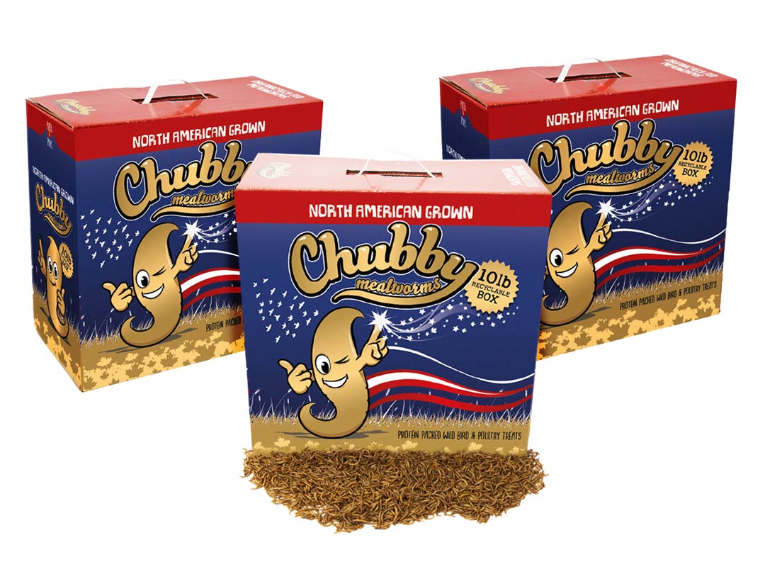 30Lbs Chubby Canadian Grown Dried Mealworms - Grown in Montreal
