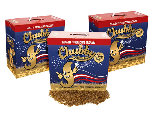 30Lbs Chubby Canadian Grown Dried Mealworms - Grown in Montreal