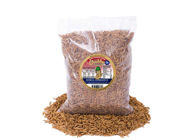 2LB Canadian Grown Chubby Dried Black Soldier Fly Larvae