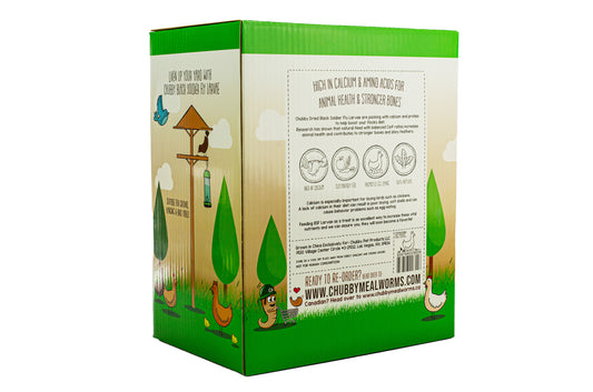 Chubby dried black soldier fly larvae high-protein insect food in large 5lb box