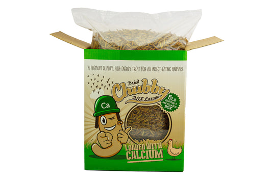 5lb box of Chubby dried black soldier fly larvae for birds, reptiles and garden wildlife