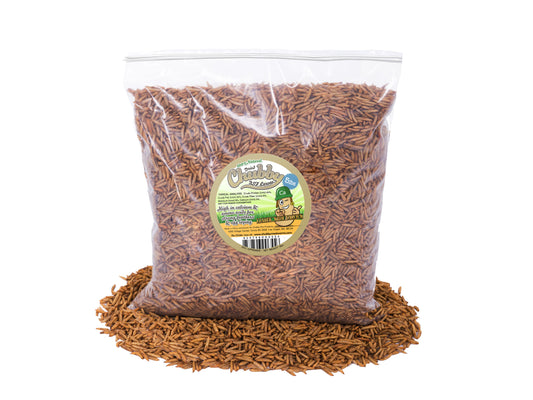 5LB Chubby Dried Black Soldier Fly Larvae