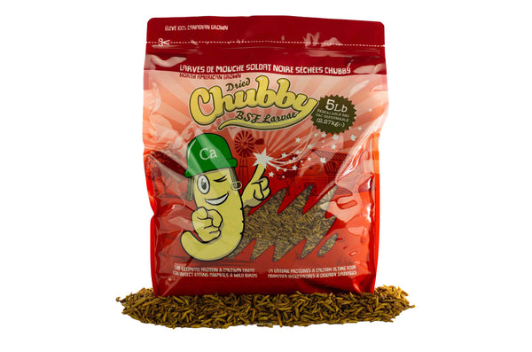 5Lb Canadian Grown Chubby Dried Black Soldier Fly Larvae