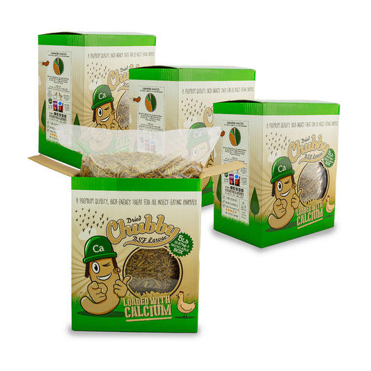 Boîte de 5 lb de larves de mouches soldats noires séchées et potelées
