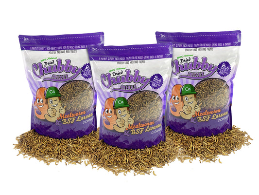 6lb Chubby Dried Mixes (Mealworm & Black Soldier Fly Larvae)