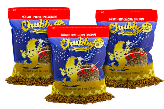 7.5lb bag of Canadian grown dried mealworms from Montreal Quebec