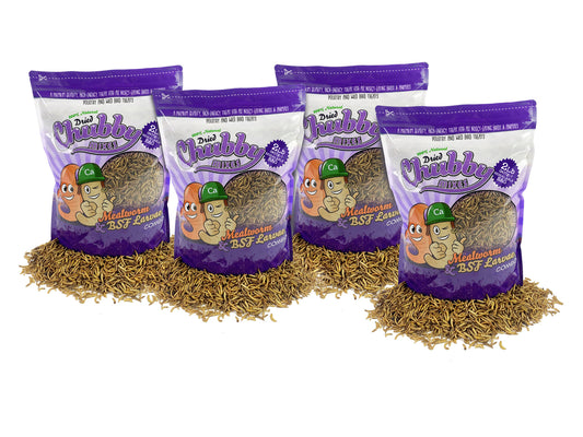 8lb Chubby Dried Mixes (Mealworm & Black Soldier Fly Larvae)