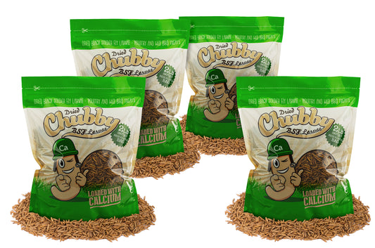 8LB Chubby Dried Black Soldier Fly Larvae