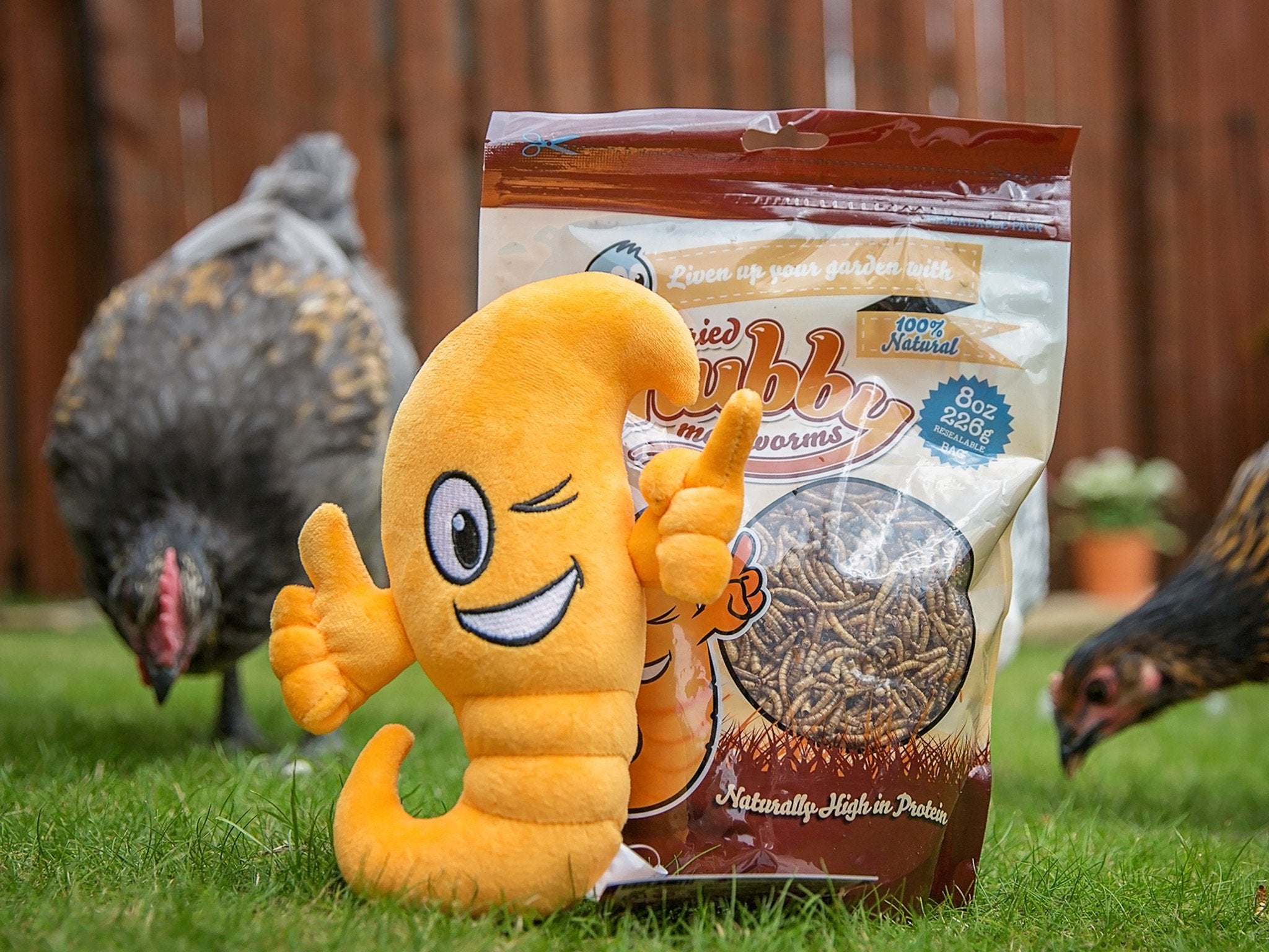 Soft Chubby Mealworms - Little Chubster