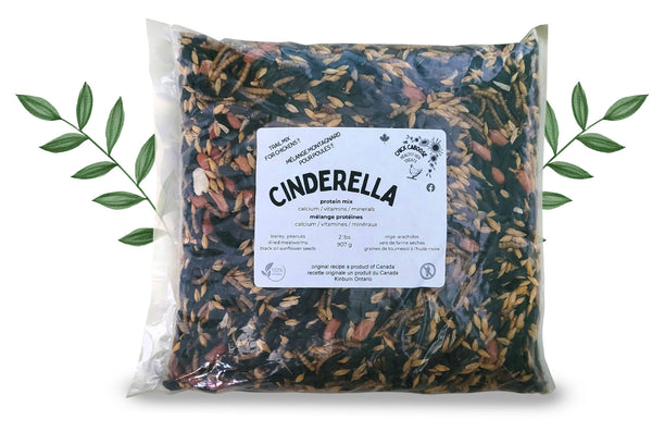 Chick Caboose CINDERELLA Trail Mix 2lbs
