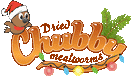 Chubby Mealworms Canada