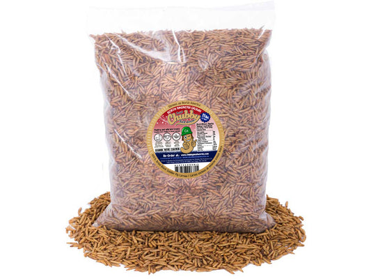 11lb bulk bag of Canadian grown dried black soldier fly larvae