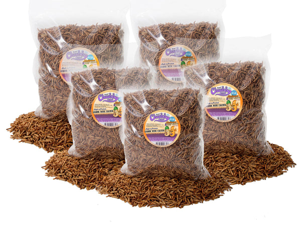10lb Chubby Dried Mixes (Mealworm & Black Soldier Fly Larvae)
