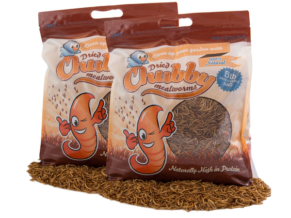 4.54Kg (10Lbs) Chubby Dried Mealworms