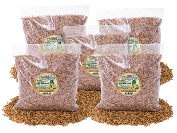 Larves de mouches soldats noires séchées et potelées, 10 lb