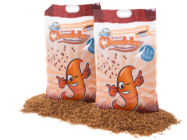 9.98Kg (22Lbs) Dried Chubby Mealworms -  - 1
