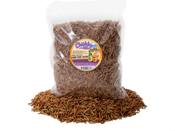 908g (2lb) Chubby Mix (Mealworm & Black Soldier Fly Larvae)