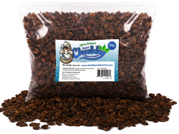 908g (2lb) Chubby Dried Silkworm Pupae