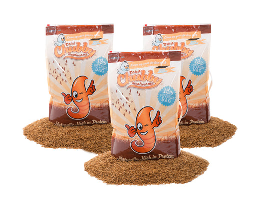 45lbs Chubby Dried Mealworms