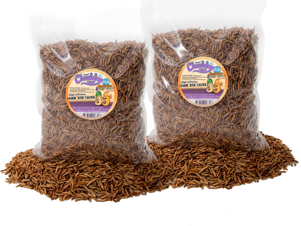 4lb Chubby Dried Mixes (Mealworm & Black Soldier Fly Larvae)