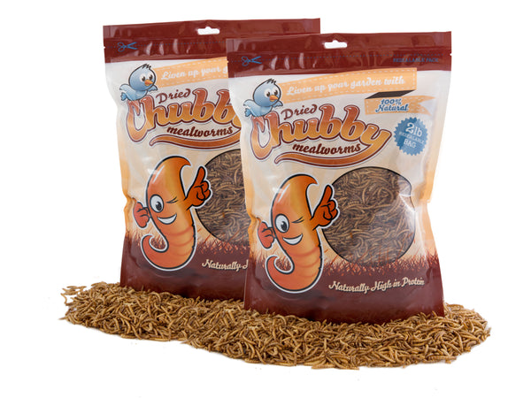 1.82Kg (4Lbs) Chubby Dried Mealworms