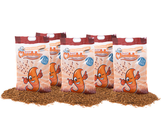 55Lbs Chubby Dried Mealworms