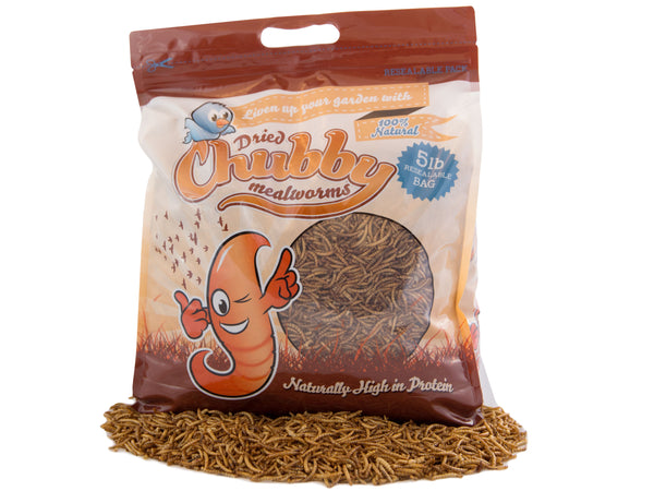 2.27Kg (5Lbs) Chubby Dried Mealworms