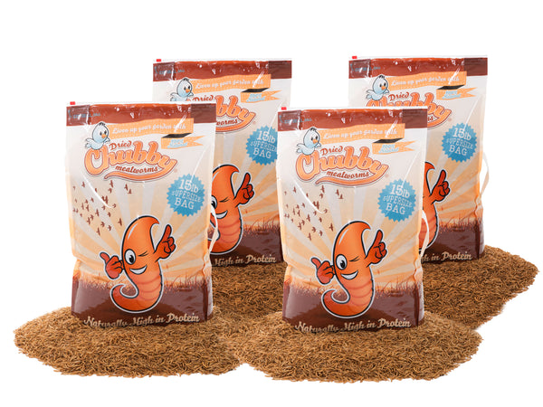 60lbs Chubby Dried Mealworms