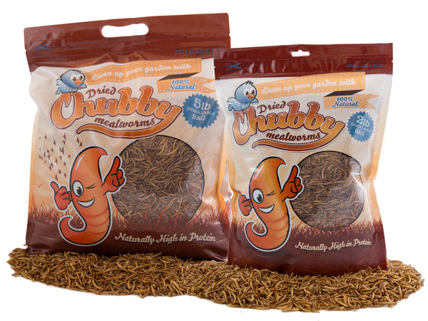 7Lbs Chubby Dried Mealworms