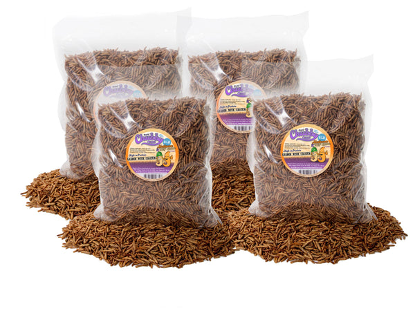 8lb Chubby Dried Mixes (Mealworm & Black Soldier Fly Larvae)