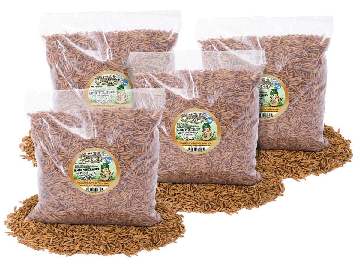 8LB Chubby Dried Black Soldier Fly Larvae Chubby Mealworms Canada