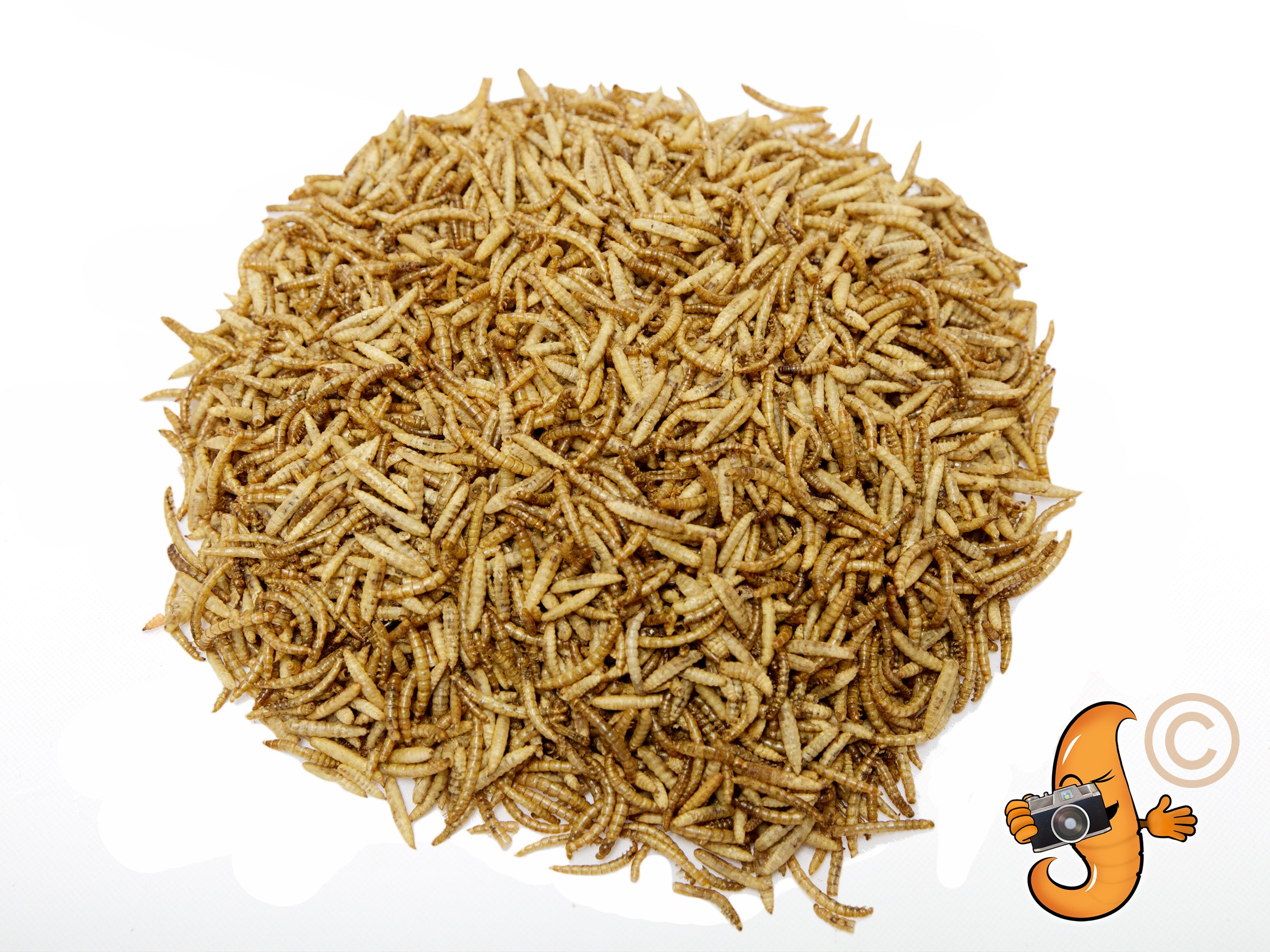 908g (2lb) Chubby Mix (Mealworm & Black Soldier Fly Larvae)