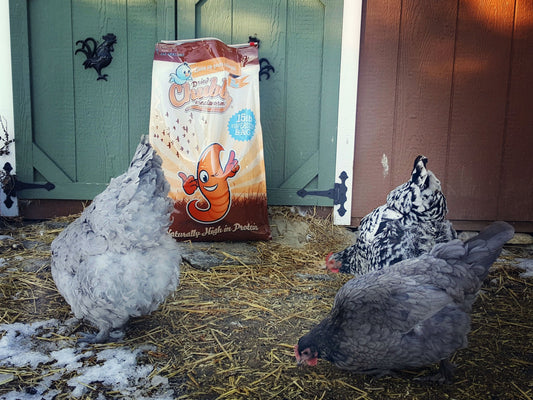 45lbs Chubby Dried Mealworms