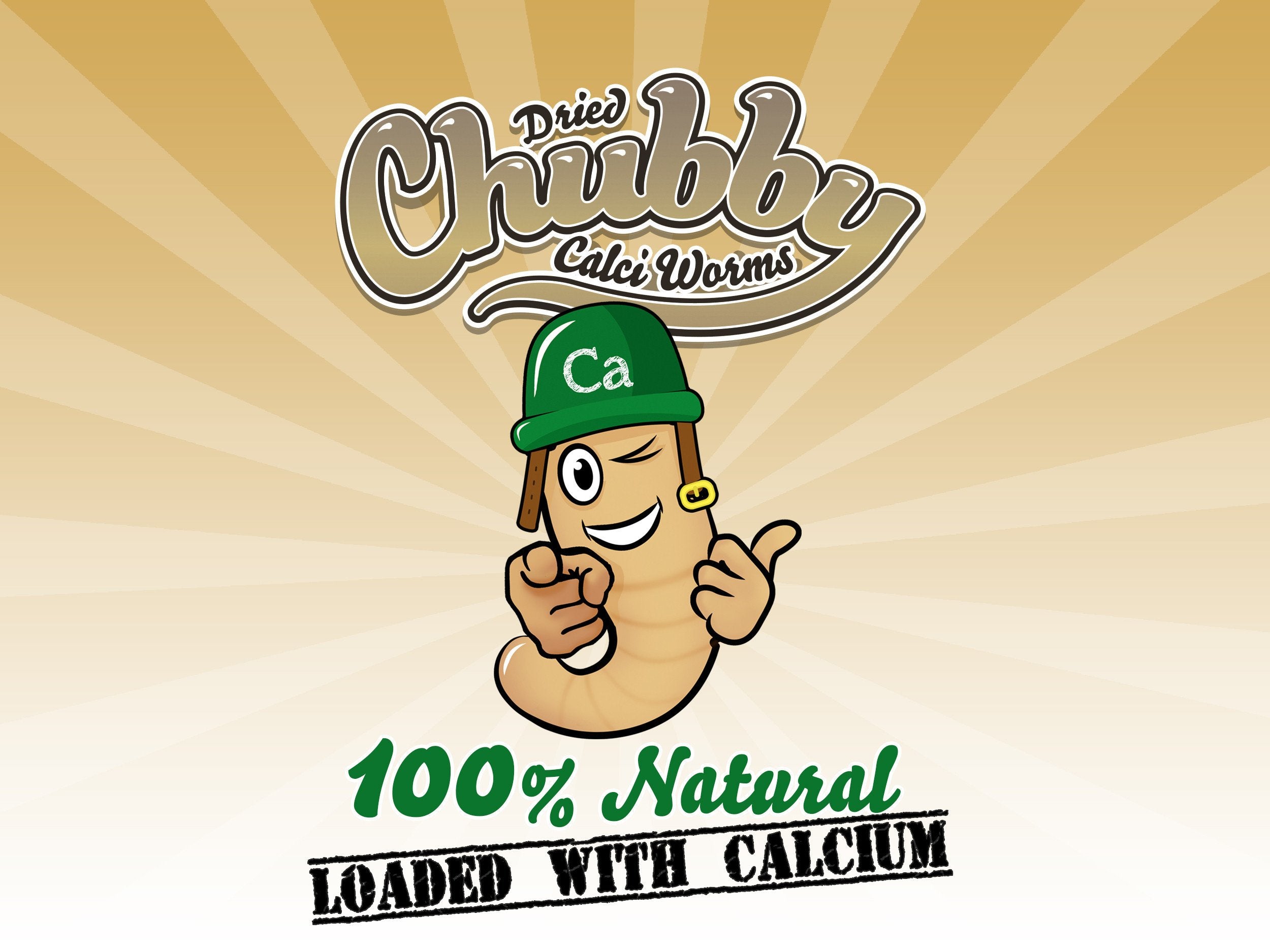 Soft Chubby Mealworms - Captain Calci