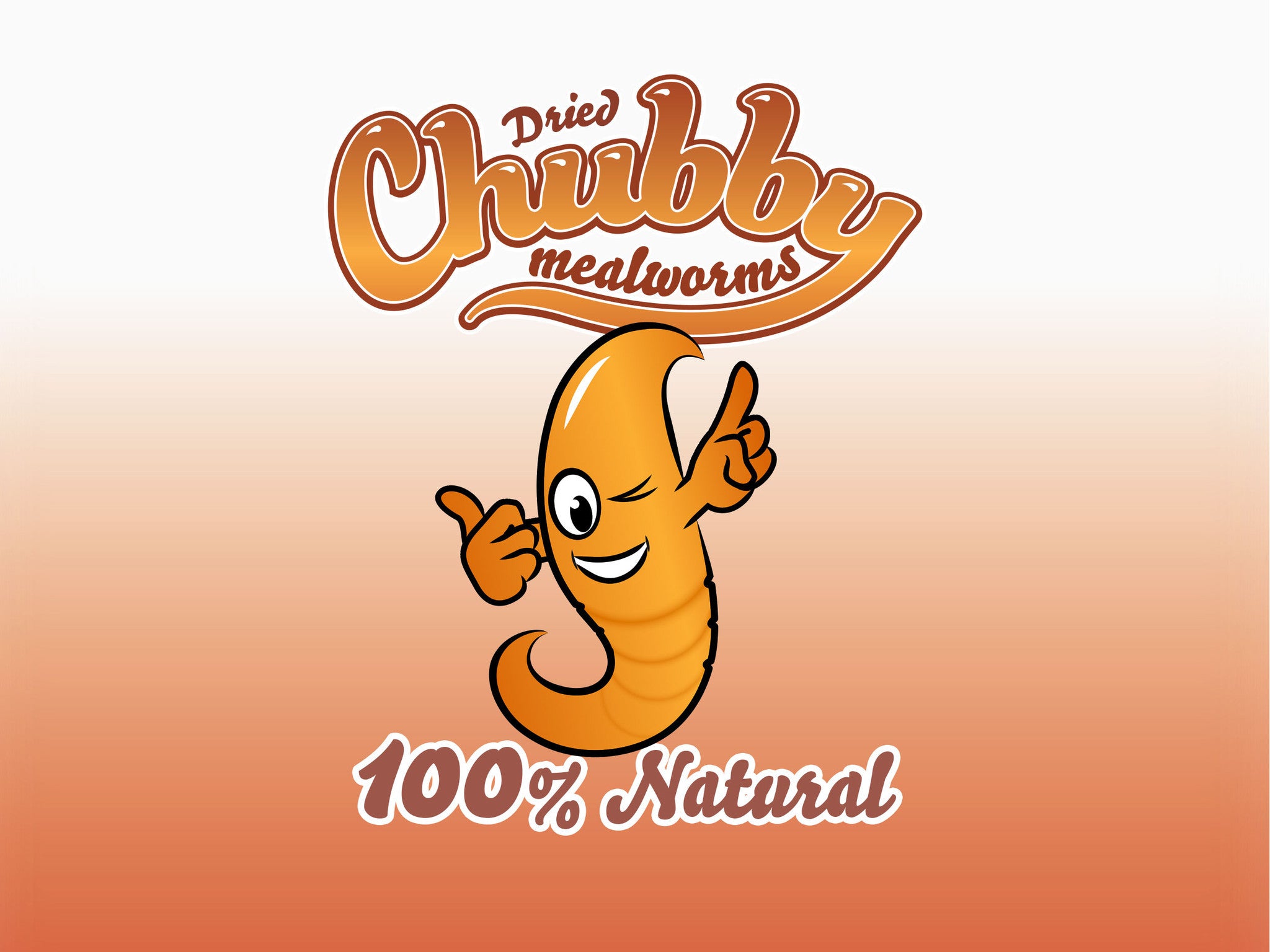 Soft Chubby Mealworms - Little Chubster -  - 2